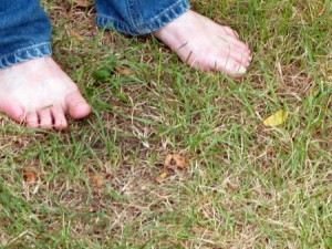 Aarden voor gezonde ogen Blote voeten in het gras