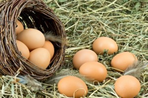 eieren zijn goed tegen maculadegeneratie