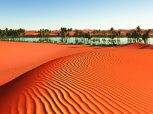 oase in de woestijn